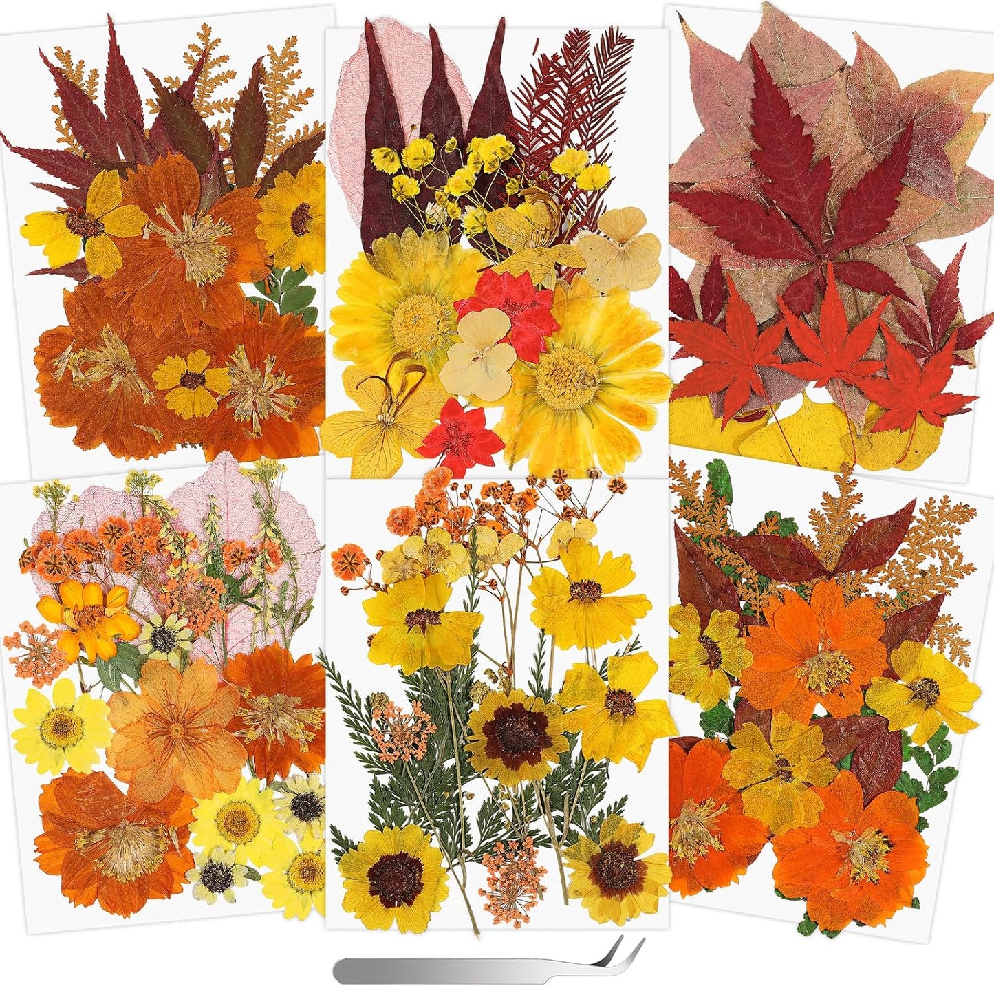 Real Dried Pressed Flowers for Crafts, 100+ PCS Fall Dried Flowers Leaves Nature Flowers Florals Set with Tweezer for Resin Jewelry Making Thanksgiving DIY Candle Scrapbooking Gift (Orange, Yellow)