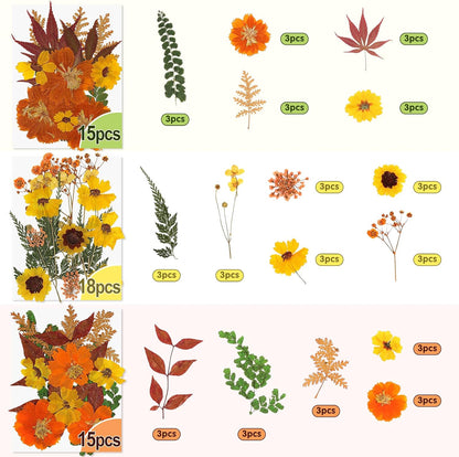 Real Dried Pressed Flowers for Crafts, 100+ PCS Fall Dried Flowers Leaves Nature Flowers Florals Set with Tweezer for Resin Jewelry Making Thanksgiving DIY Candle Scrapbooking Gift (Orange, Yellow)
