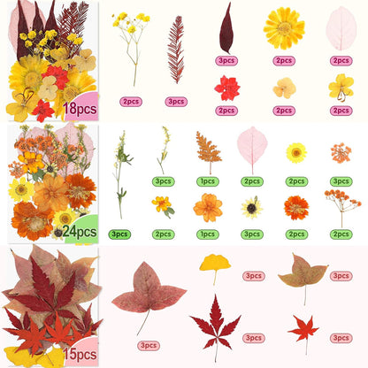 Real Dried Pressed Flowers for Crafts, 100+ PCS Fall Dried Flowers Leaves Nature Flowers Florals Set with Tweezer for Resin Jewelry Making Thanksgiving DIY Candle Scrapbooking Gift (Orange, Yellow)