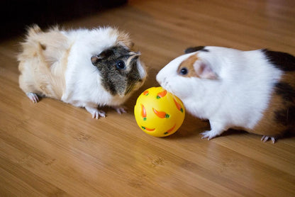 Treat Ball Toy for Guinea Pigs, Rabbits, Hedgehogs and Other Small Pets, 7 cm, Yellow, Adjustable Opening Treat Toy New