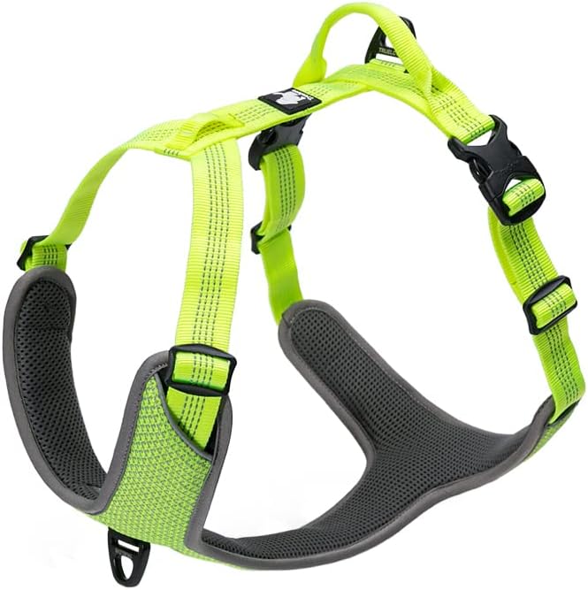No-Pull Highly Reflective Breathable Dog Harness, Neon Yellow, XS | Full Reflective Straps & Main Body, 2 Lead Rings, Durable for Medium & Large Dogs, Adjustable, Outdoor Walking, TLH6071