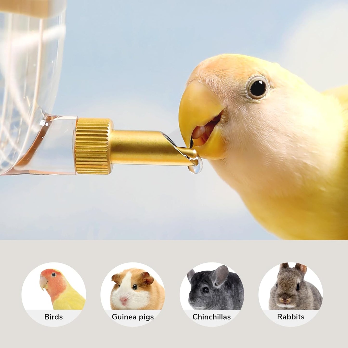 Leak-Proof & Chew-Proof Hanging Water Dispenser No Drip for Birds, Chinchillas, Guinea Pigs, Ferrets, Rats, Rabbits, Bunnies, Parrots, Squirrels, and Other Small Animals - Yellow, 12oz