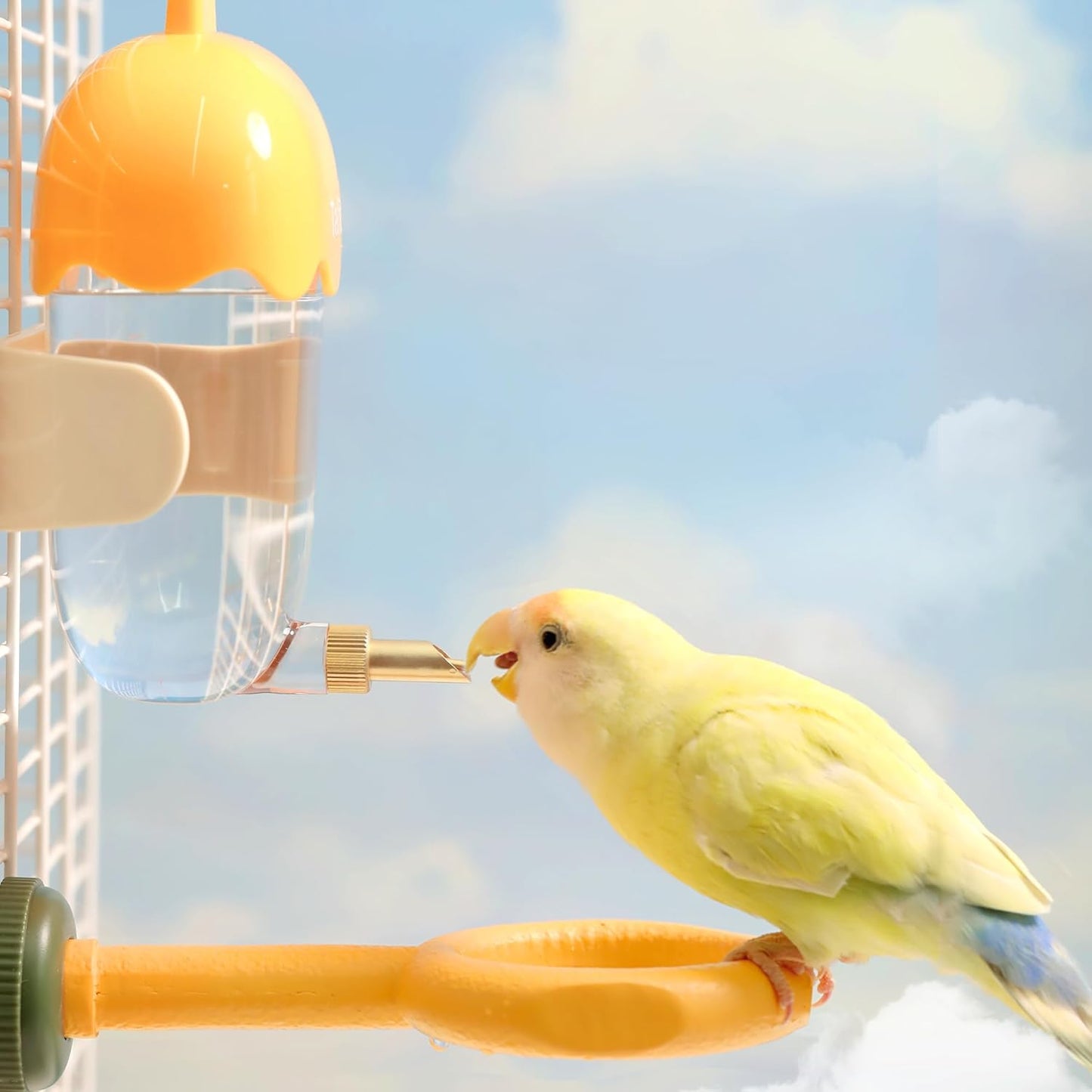 Leak-Proof & Chew-Proof Hanging Water Dispenser No Drip for Birds, Chinchillas, Guinea Pigs, Ferrets, Rats, Rabbits, Bunnies, Parrots, Squirrels, and Other Small Animals - Yellow, 12oz