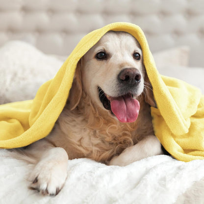 Fleece Blanket Soft Plush Twin Size Blanket Light Yellow 60"x80" | Ultra Soft Fleece, Plush Microfiber, Lightweight Warmth, All Season Comfort, Fade Resistant, Machine Washable, Couch Sofa Bed