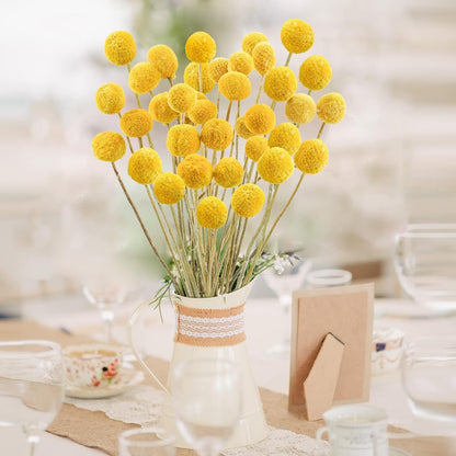 20Pcs Natural Craspedia Dried Flowers Yellow Billy Buttons Balls Bouquet Bundles,for DIY Crafts Wreath Cake,Home Decor Wedding Decor Party Centerpieces Decor (Golden)