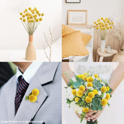 20Pcs Natural Craspedia Dried Flowers Yellow Billy Buttons Balls Bouquet Bundles,for DIY Crafts Wreath Cake,Home Decor Wedding Decor Party Centerpieces Decor (Golden)