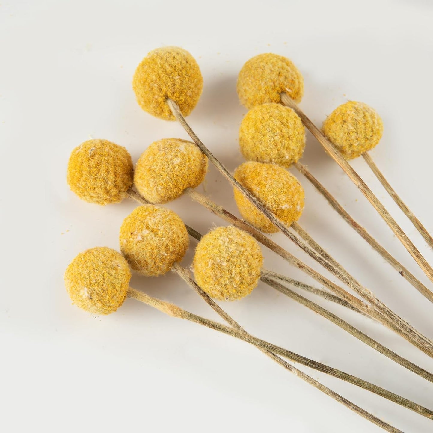 20Pcs Natural Craspedia Dried Flowers Yellow Billy Buttons Balls Bouquet Bundles,for DIY Crafts Wreath Cake,Home Decor Wedding Decor Party Centerpieces Decor (Golden)
