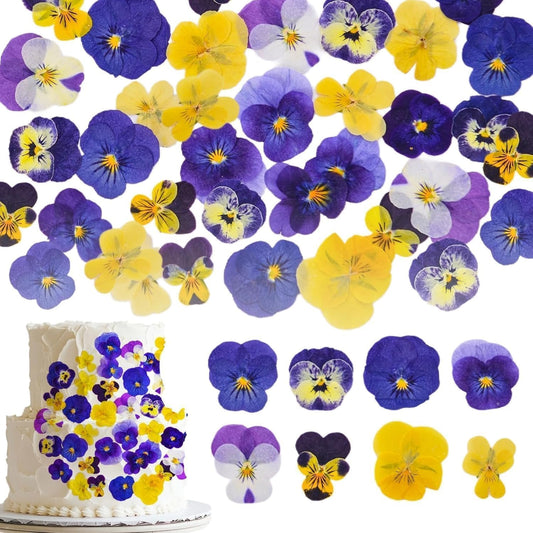 Dried Edible Viola Tricolor Flowers – 48 Real Pressed Pansy Petals for Cake Decoration, Cocktail Garnish, Resin Jewelry, Candle & Soap Making, Wedding Confetti