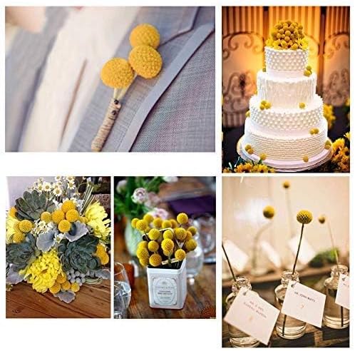 30pcs Natural Dried Flowers Yellow, Craspedia Billy Balls, 16.14'' | Yellow Dried Flowers, Boho Dried Floral Arrangements, Billy Balls for Home Kitchen Table Wedding Party Office Decor