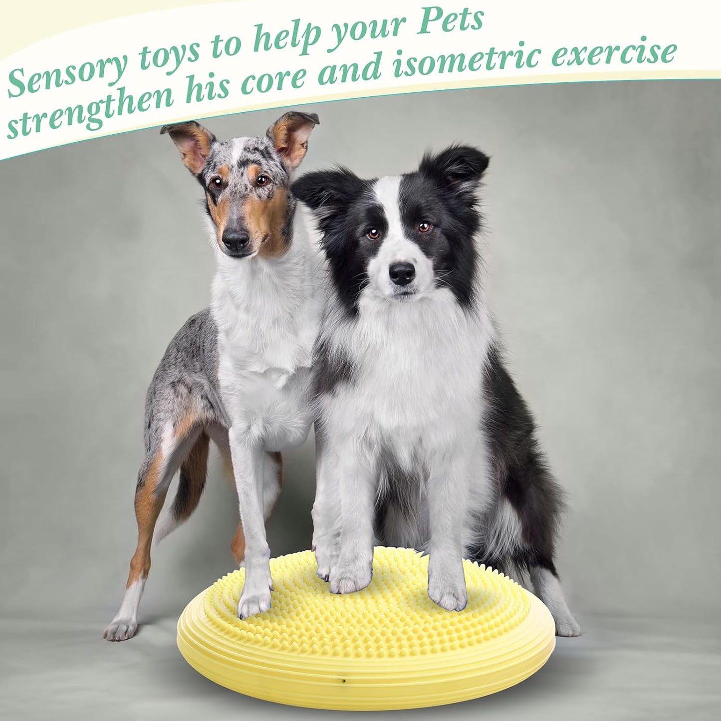2 Pcs Wobble Cushion Wiggle Seat Flexible Sensory Seating Balance Disc Board for Men Women Physical Exercise Improving Posture Home Office
