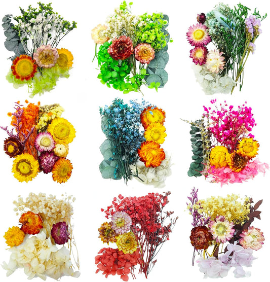 Mini Dried Flowers 9 Bags Natural Real Small Dry Flower Leaves for Crafts Colorful Mixed Color Dry Wildflowers Plants for DIY Art Candle Resin, Jewelry Crafts, Weeding Home Decorations