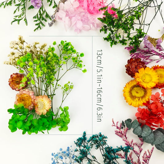 Mini Dried Flowers 9 Bags Natural Real Small Dry Flower Leaves for Crafts Colorful Mixed Color Dry Wildflowers Plants for DIY Art Candle Resin, Jewelry Crafts, Weeding Home Decorations