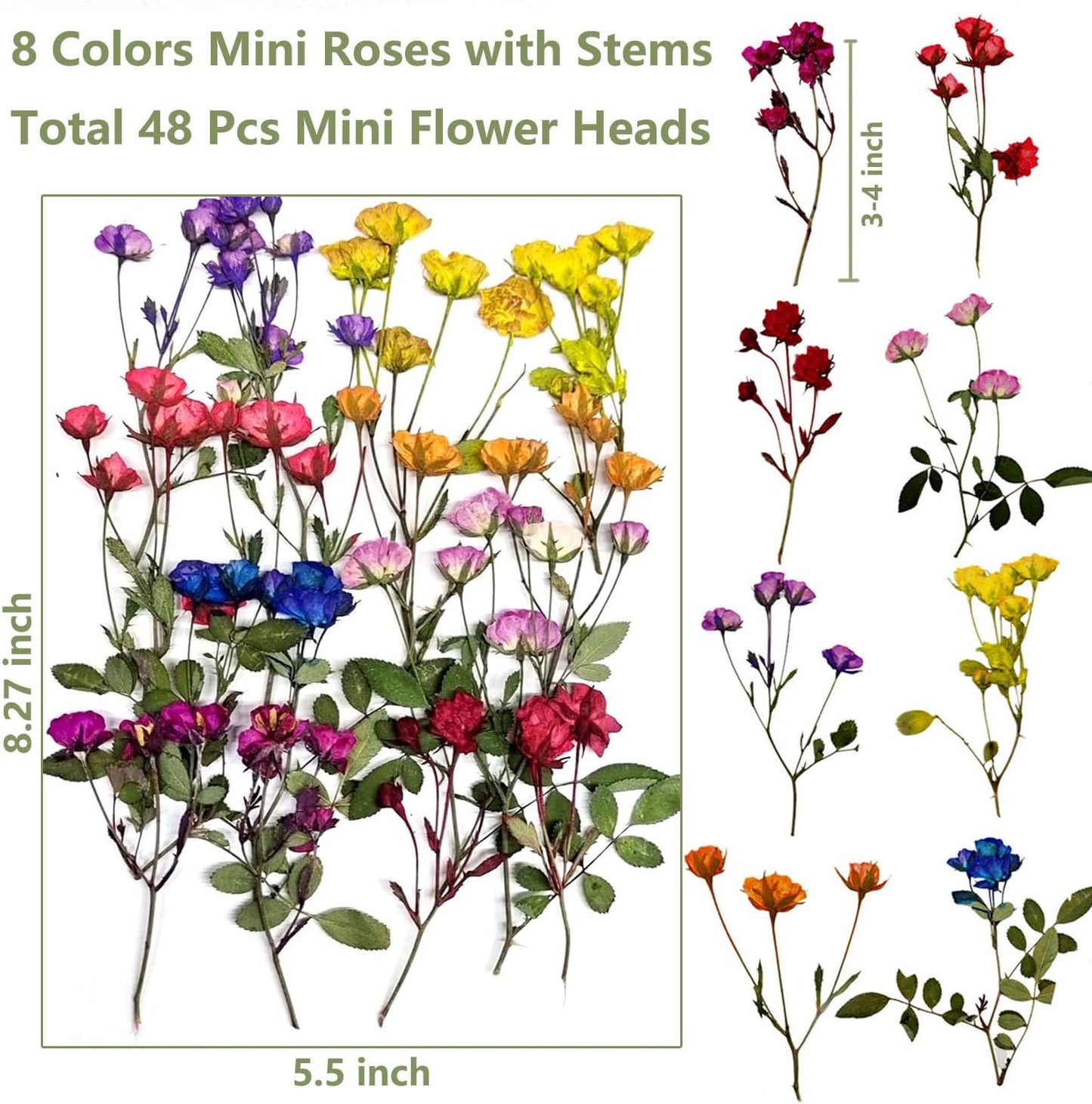 8 Types Real Dried Pressed Rose Flowers Plant Herbarium for Craft Resin Jewelry Making (Mini Rose)