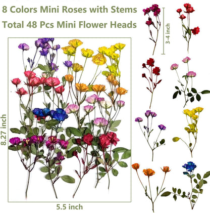 8 Types Real Dried Pressed Rose Flowers Plant Herbarium for Craft Resin Jewelry Making (Mini Rose)