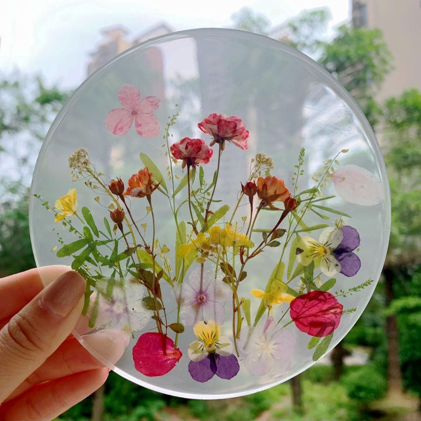 8 Types Real Dried Pressed Rose Flowers Plant Herbarium for Craft Resin Jewelry Making (Mini Rose)