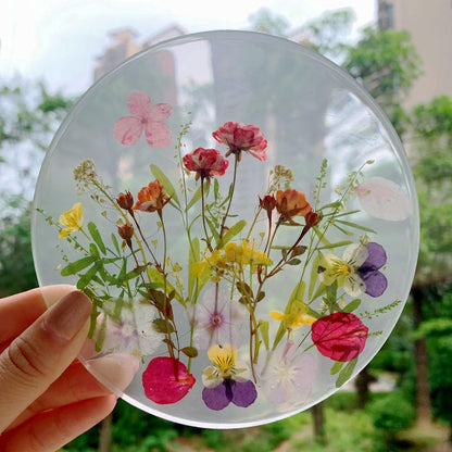 8 Types Real Dried Pressed Rose Flowers Plant Herbarium for Craft Resin Jewelry Making (Mini Rose)