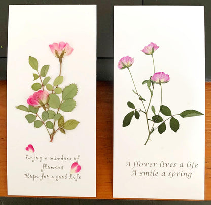8 Types Real Dried Pressed Rose Flowers Plant Herbarium for Craft Resin Jewelry Making (Mini Rose)
