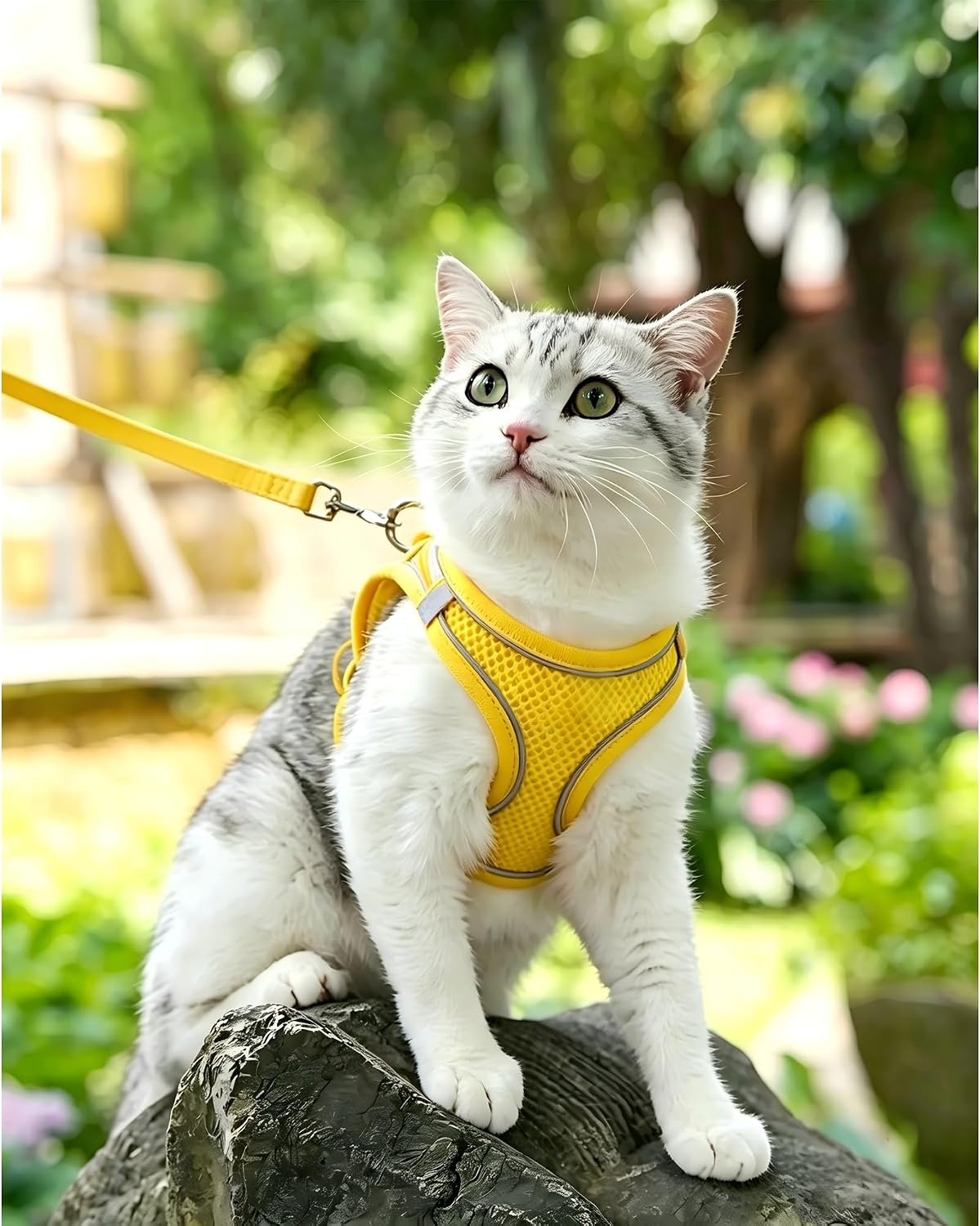 XS Yellow Soft Mesh Dog Harness and Leash Set,No Escape Puppy Harnesses for Training Walking， Reflective Adjustable Puppy Vest for Small Medium Dogs, Cats (Yellow, XS)