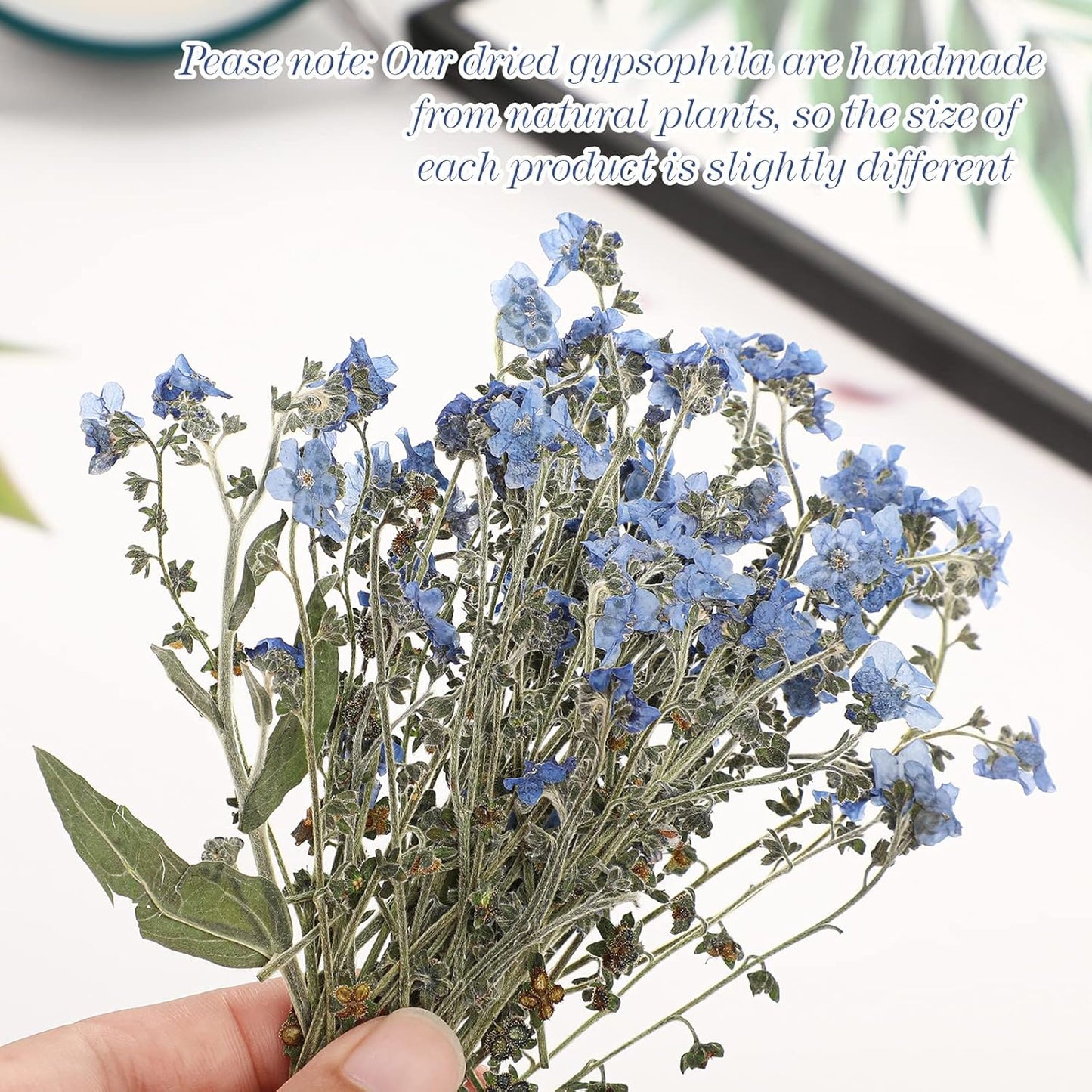 100 Pcs Natural Forget Me Not Pressed Dried Flowers Blue Don't Forget Me Dried Flower Real for Resin Jewelry Candle Card Making Nail Art DIY Home Decoration