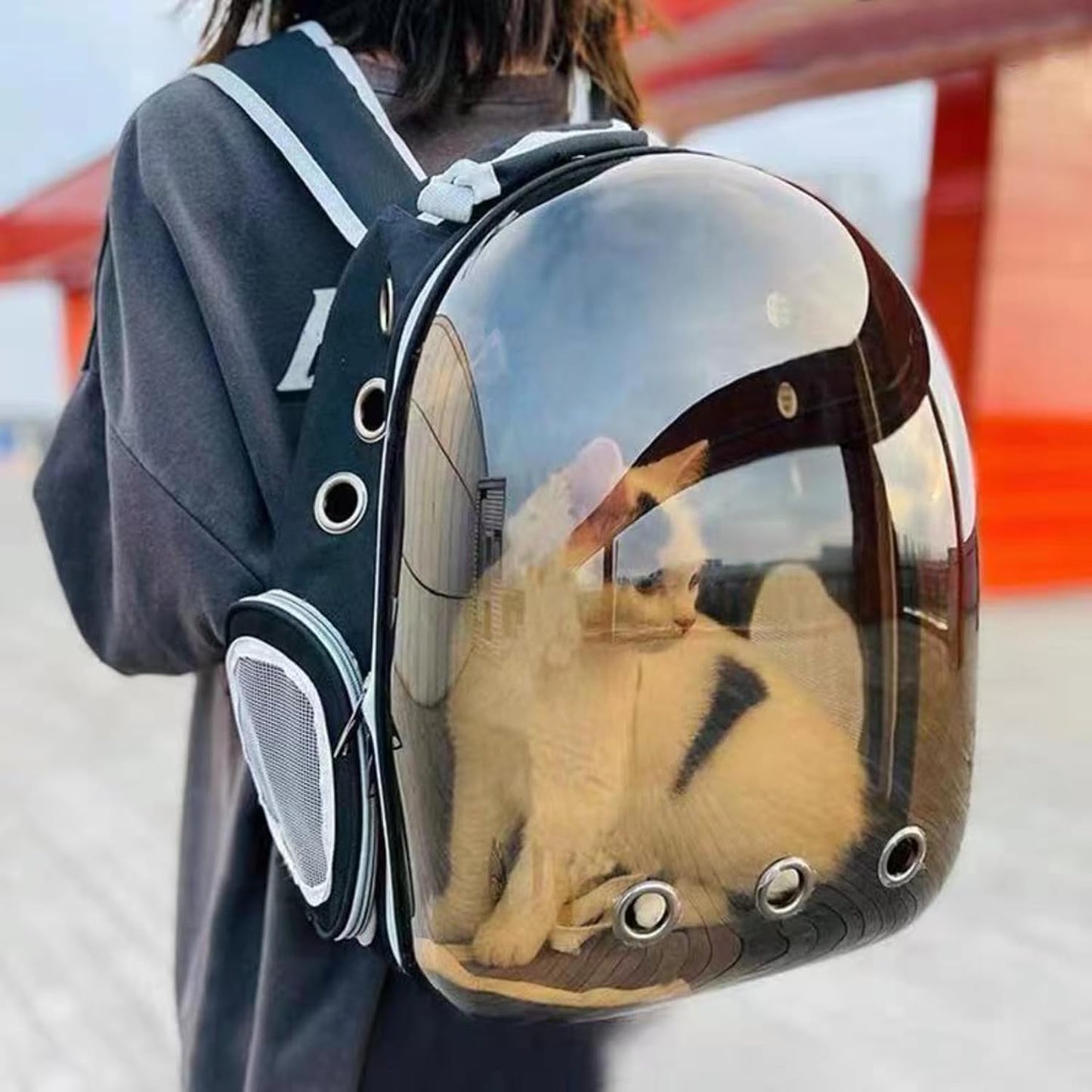 Large Transparent Bubble Cat Backpack Carrier Ventilated with Padded Straps for Travel Hiking (Yellow)
