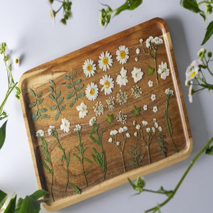 36Pcs Dried Pressed Flowers for Resin DIY Art Crafts Natural Dry Floral Daisy Epoxy Jewelry Real Rose Summer Decor Cakes Bookmarks Phone Cases Candles Handmade Soap White