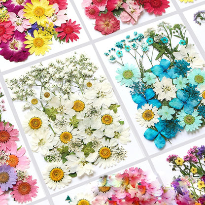 36Pcs Dried Pressed Flowers for Resin DIY Art Crafts Natural Dry Floral Daisy Epoxy Jewelry Real Rose Summer Decor Cakes Bookmarks Phone Cases Candles Handmade Soap White
