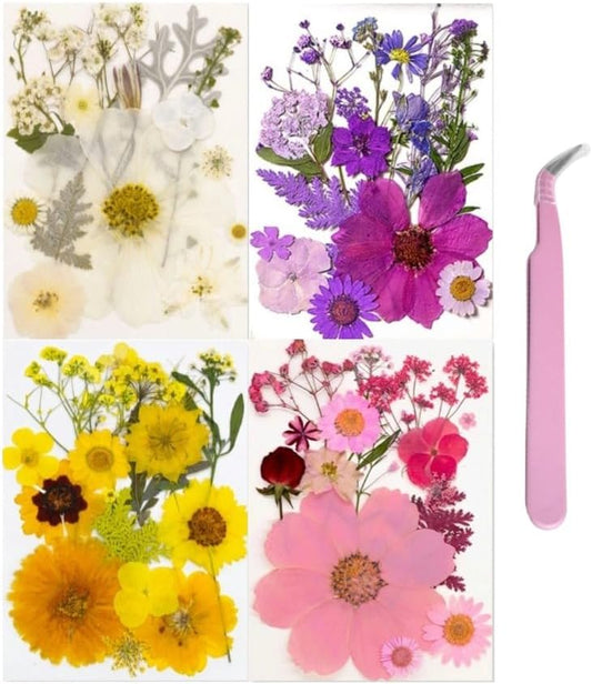 60PCS Mixed Natural Pressed Flowers Craft Kit with Tweezers for DIY Resin Coaster Bookmark Scrapbooking Wedding Vow Card Phone Case Nail Decoration (Pink, Voilet, White, Yellow)