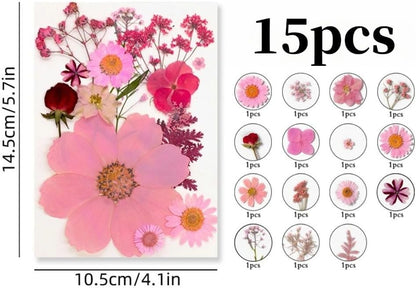 60PCS Mixed Natural Pressed Flowers Craft Kit with Tweezers for DIY Resin Coaster Bookmark Scrapbooking Wedding Vow Card Phone Case Nail Decoration (Pink, Voilet, White, Yellow)
