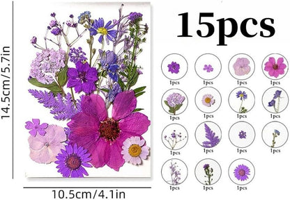 60PCS Mixed Natural Pressed Flowers Craft Kit with Tweezers for DIY Resin Coaster Bookmark Scrapbooking Wedding Vow Card Phone Case Nail Decoration (Pink, Voilet, White, Yellow)