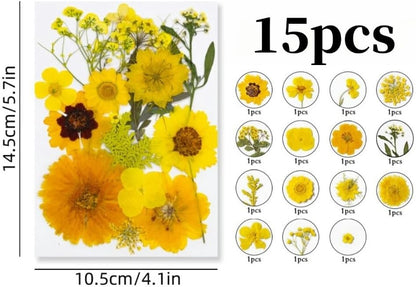 60PCS Mixed Natural Pressed Flowers Craft Kit with Tweezers for DIY Resin Coaster Bookmark Scrapbooking Wedding Vow Card Phone Case Nail Decoration (Pink, Voilet, White, Yellow)