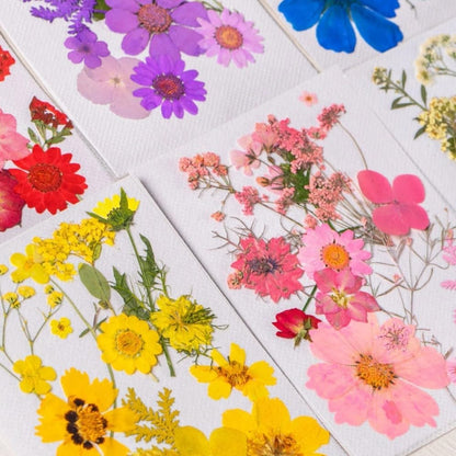 60PCS Mixed Natural Pressed Flowers Craft Kit with Tweezers for DIY Resin Coaster Bookmark Scrapbooking Wedding Vow Card Phone Case Nail Decoration (Pink, Voilet, White, Yellow)