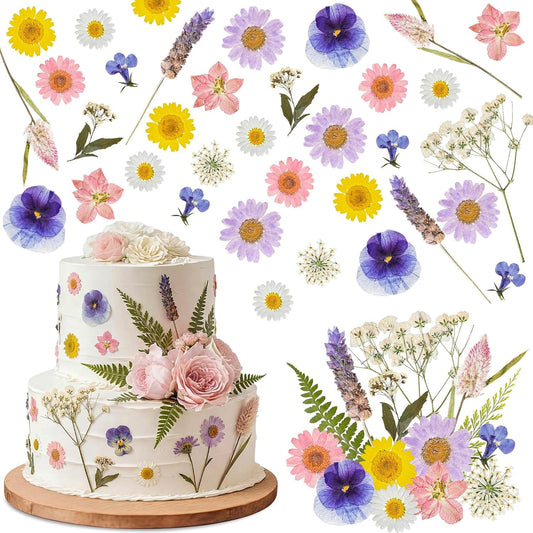 96 Pcs Natural Dried Pressed Flowers for Cake Topper Decorating Cupcake Toppers Cocktails Resin Jewelry Candle Soap Making DIY Art Crafts