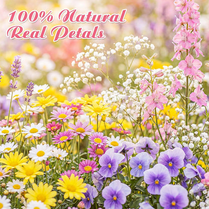 96 Pcs Natural Dried Pressed Flowers for Cake Topper Decorating Cupcake Toppers Cocktails Resin Jewelry Candle Soap Making DIY Art Crafts