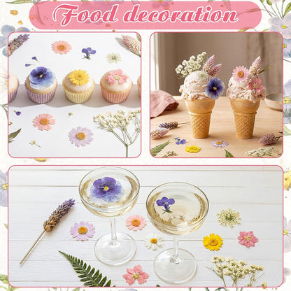 96 Pcs Natural Dried Pressed Flowers for Cake Topper Decorating Cupcake Toppers Cocktails Resin Jewelry Candle Soap Making DIY Art Crafts
