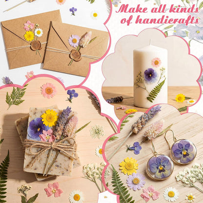 96 Pcs Natural Dried Pressed Flowers for Cake Topper Decorating Cupcake Toppers Cocktails Resin Jewelry Candle Soap Making DIY Art Crafts