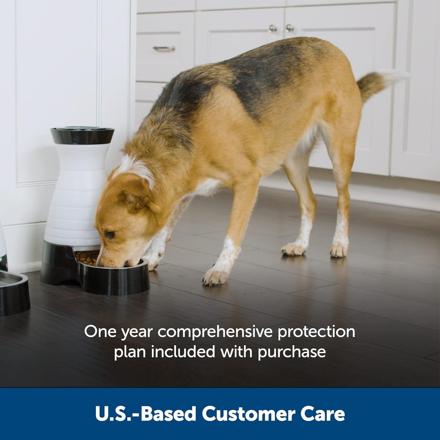 Healthy Pet Food Station, 2 lb Gravity Feeder, Cats & Dogs, Small | Dry Food Dispenser, Removable Stainless Steel Bowl Is Dishwasher Safe, Space-Saving Design