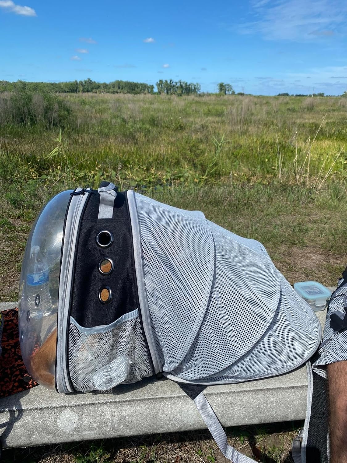 Expandable Cat Backpack Carrier, Fit up to 12 lbs, Space Capsule Astronaut Bubble Window Pet Backpack for Kitten, Bunny, Rabbit and Small Puppy Yellow
