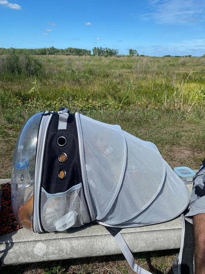 Expandable Cat Backpack Carrier, Fit up to 12 lbs, Space Capsule Astronaut Bubble Window Pet Backpack for Kitten, Bunny, Rabbit and Small Puppy Yellow