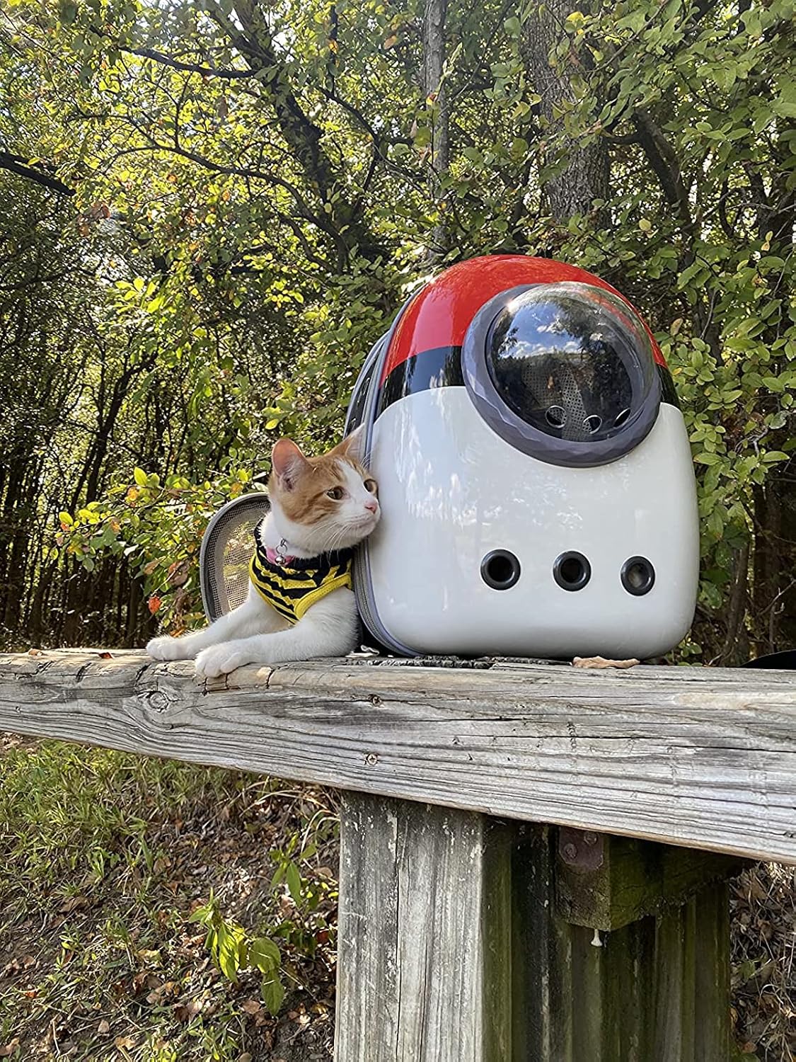 Expandable Cat Backpack Carrier, Fit up to 12 lbs, Space Capsule Astronaut Bubble Window Pet Backpack for Kitten, Bunny, Rabbit and Small Puppy Yellow