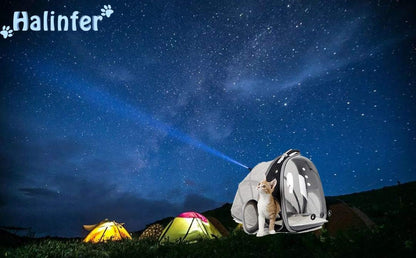Expandable Cat Backpack Carrier, Fit up to 12 lbs, Space Capsule Astronaut Bubble Window Pet Backpack for Kitten, Bunny, Rabbit and Small Puppy Yellow