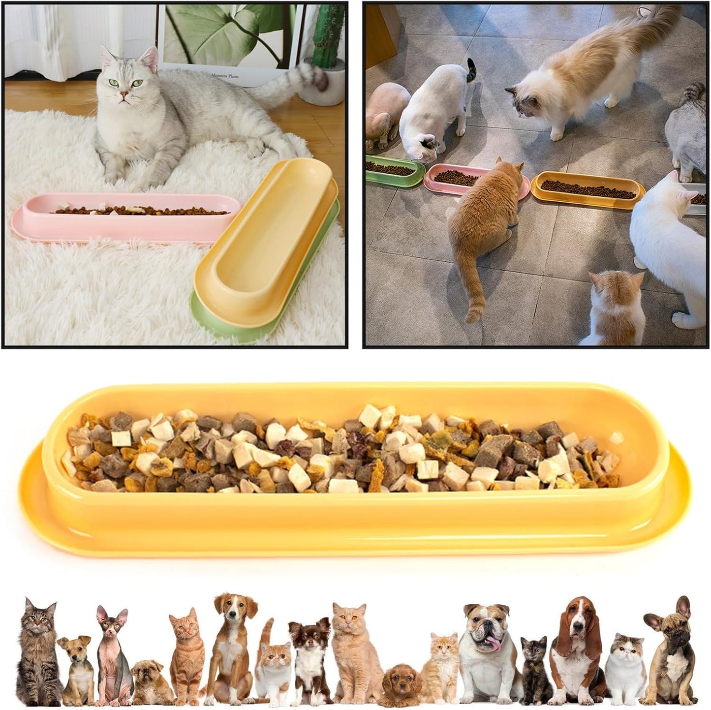 3Pc Cats Feeding Dish Long Multiple Dining Bowl with Skidproof Bottom Cats Food Plate for Water & Food, Easily Wash, Yellow