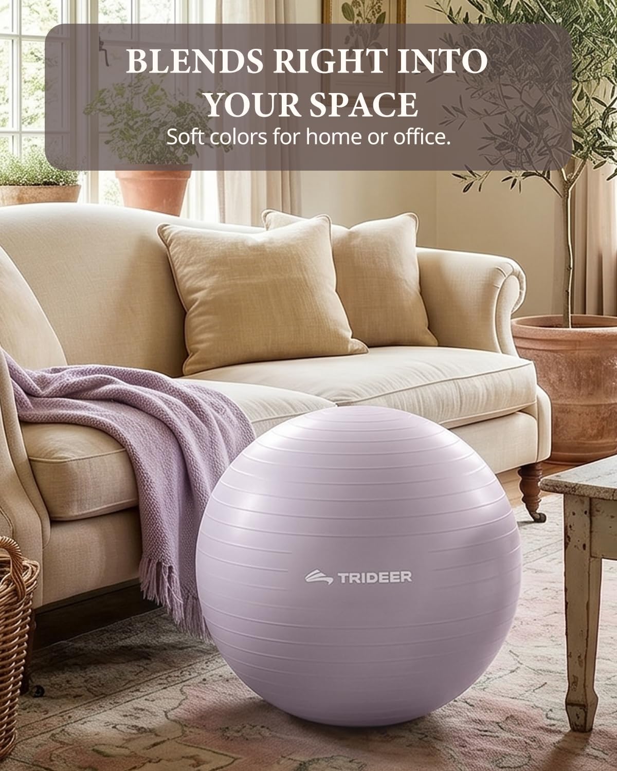 Exercise Ball, Stability Yoga Ball for Physical Therapy, Active Sitting, Pregnancy & Birth Labor Prep, Core Strength, Balance Training, Posture Improvement and Daily Stretching, 55/65/75cm