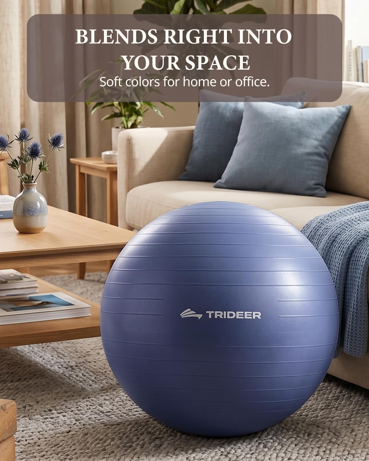 Exercise Ball, Stability Yoga Ball for Physical Therapy, Active Sitting, Pregnancy & Birth Labor Prep, Core Strength, Balance Training, Posture Improvement and Daily Stretching, 55/65/75cm
