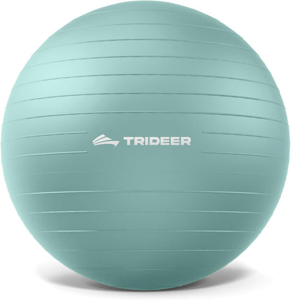 Exercise Ball, Stability Yoga Ball for Physical Therapy, Active Sitting, Pregnancy & Birth Labor Prep, Core Strength, Balance Training, Posture Improvement and Daily Stretching, 55/65/75cm
