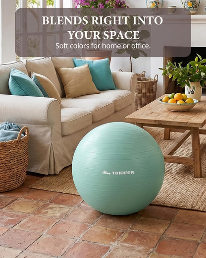 Exercise Ball, Stability Yoga Ball for Physical Therapy, Active Sitting, Pregnancy & Birth Labor Prep, Core Strength, Balance Training, Posture Improvement and Daily Stretching, 55/65/75cm