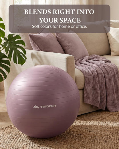 Exercise Ball, Stability Yoga Ball for Physical Therapy, Active Sitting, Pregnancy & Birth Labor Prep, Core Strength, Balance Training, Posture Improvement and Daily Stretching, 55/65/75cm