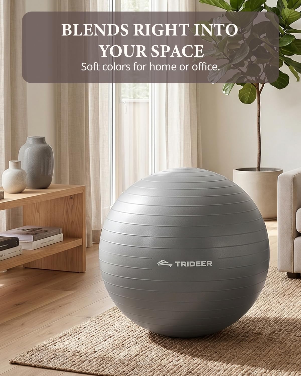 Exercise Ball, Stability Yoga Ball for Physical Therapy, Active Sitting, Pregnancy & Birth Labor Prep, Core Strength, Balance Training, Posture Improvement and Daily Stretching, 55/65/75cm