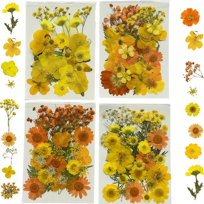 Orange Yellow Pressed Flowers Kit for Resin Bookmark DIY Craft | Kit for resin, bookmark & frame DIY craft