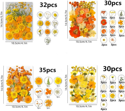 Orange Yellow Pressed Flowers Kit for Resin Bookmark DIY Craft | Kit for resin, bookmark & frame DIY craft
