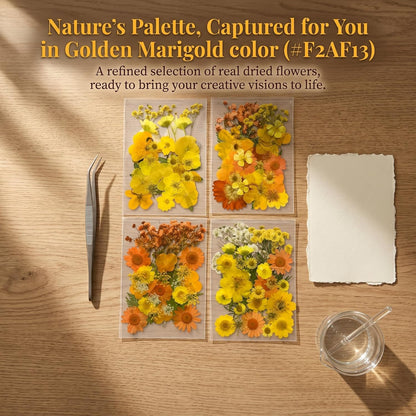 Orange Yellow Pressed Flowers Kit for Resin Bookmark DIY Craft | Kit for resin, bookmark & frame DIY craft